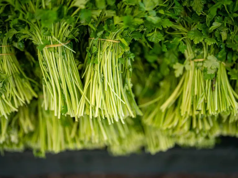 légumes verts