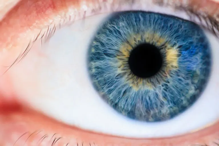 Oeil